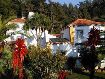 Quinta do Rio Touro Garten